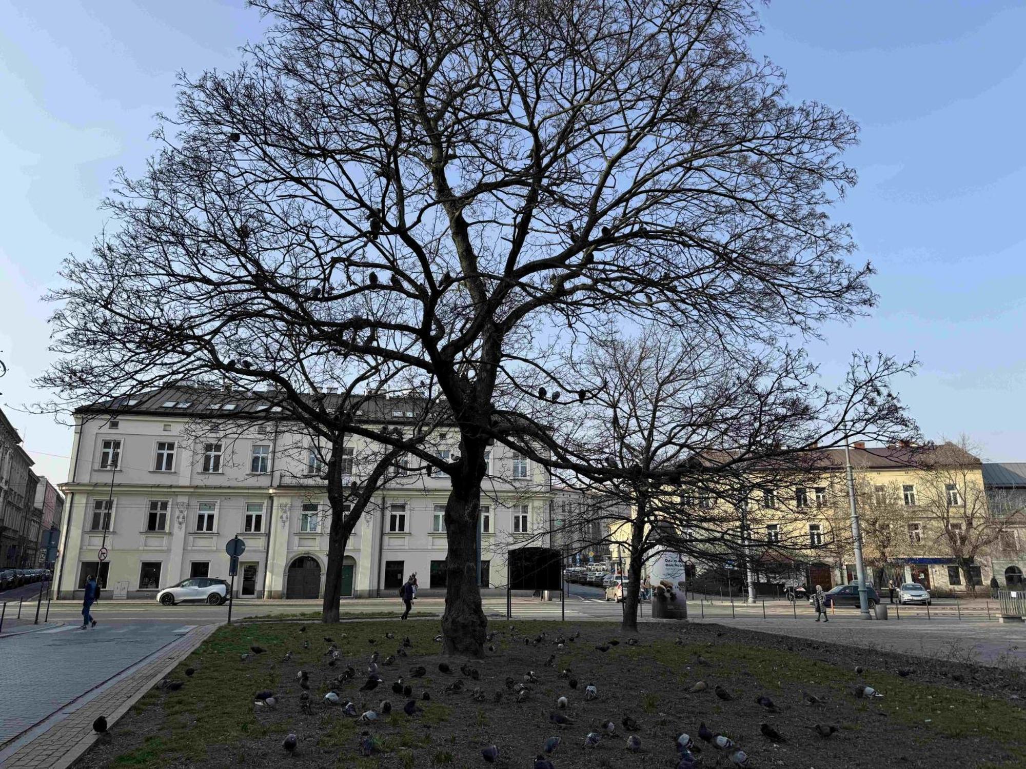 Art Apartment Stare Podgorze Free Parking Cracovia Exterior foto